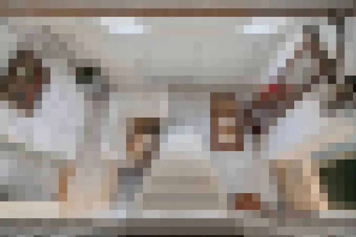 den Alerdinckweg 10 Laag Zuthem thumbnail 34