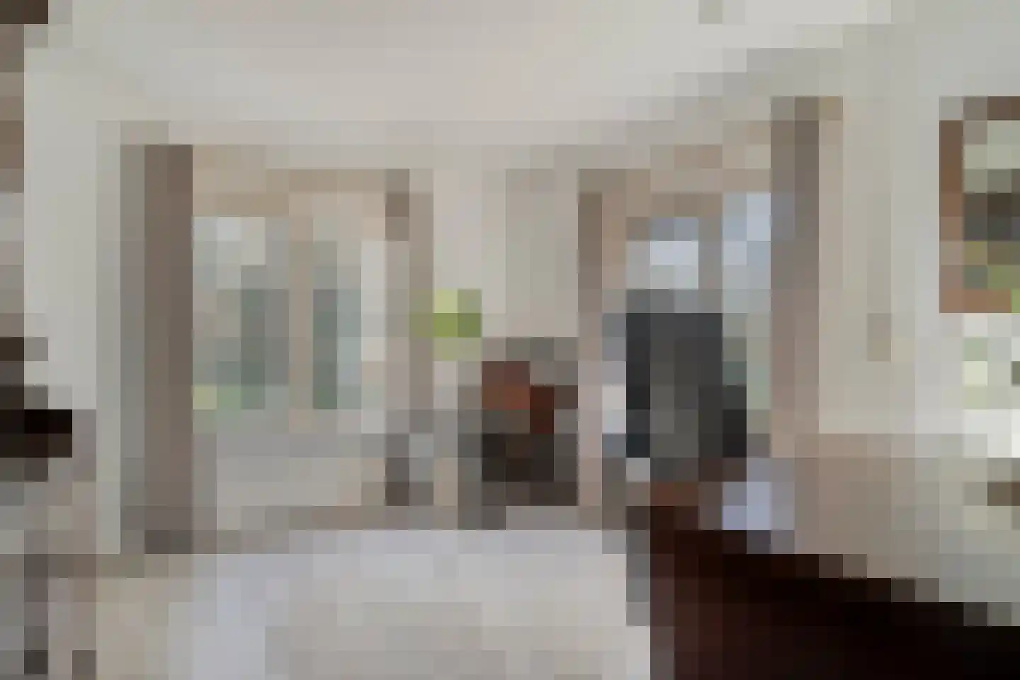 den Alerdinckweg 10 Laag Zuthem thumbnail 35