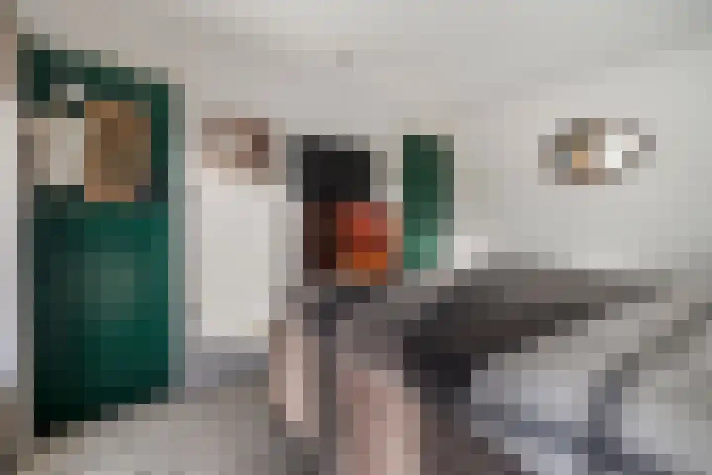 den Alerdinckweg 10 Laag Zuthem thumbnail 39