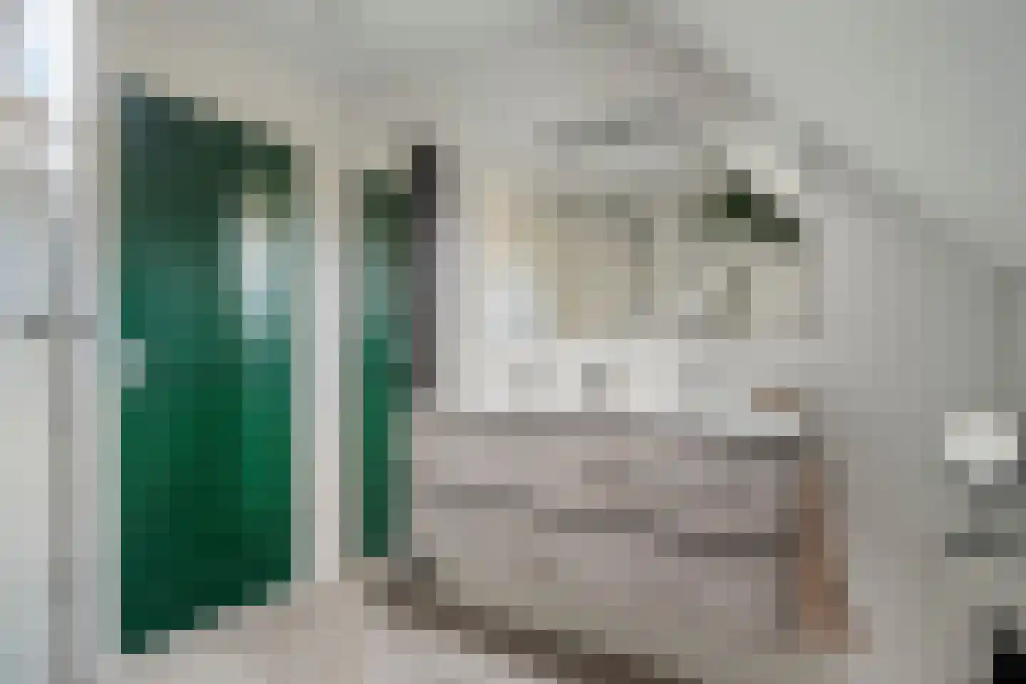 den Alerdinckweg 10 Laag Zuthem thumbnail 42