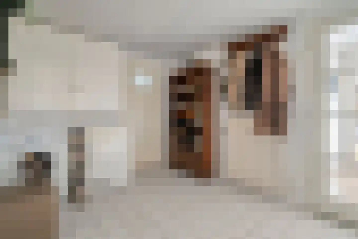 den Alerdinckweg 10 Laag Zuthem thumbnail 45