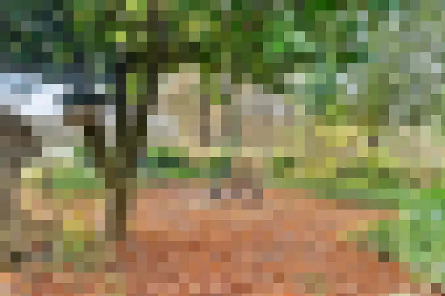 den Alerdinckweg 10 Laag Zuthem thumbnail 5