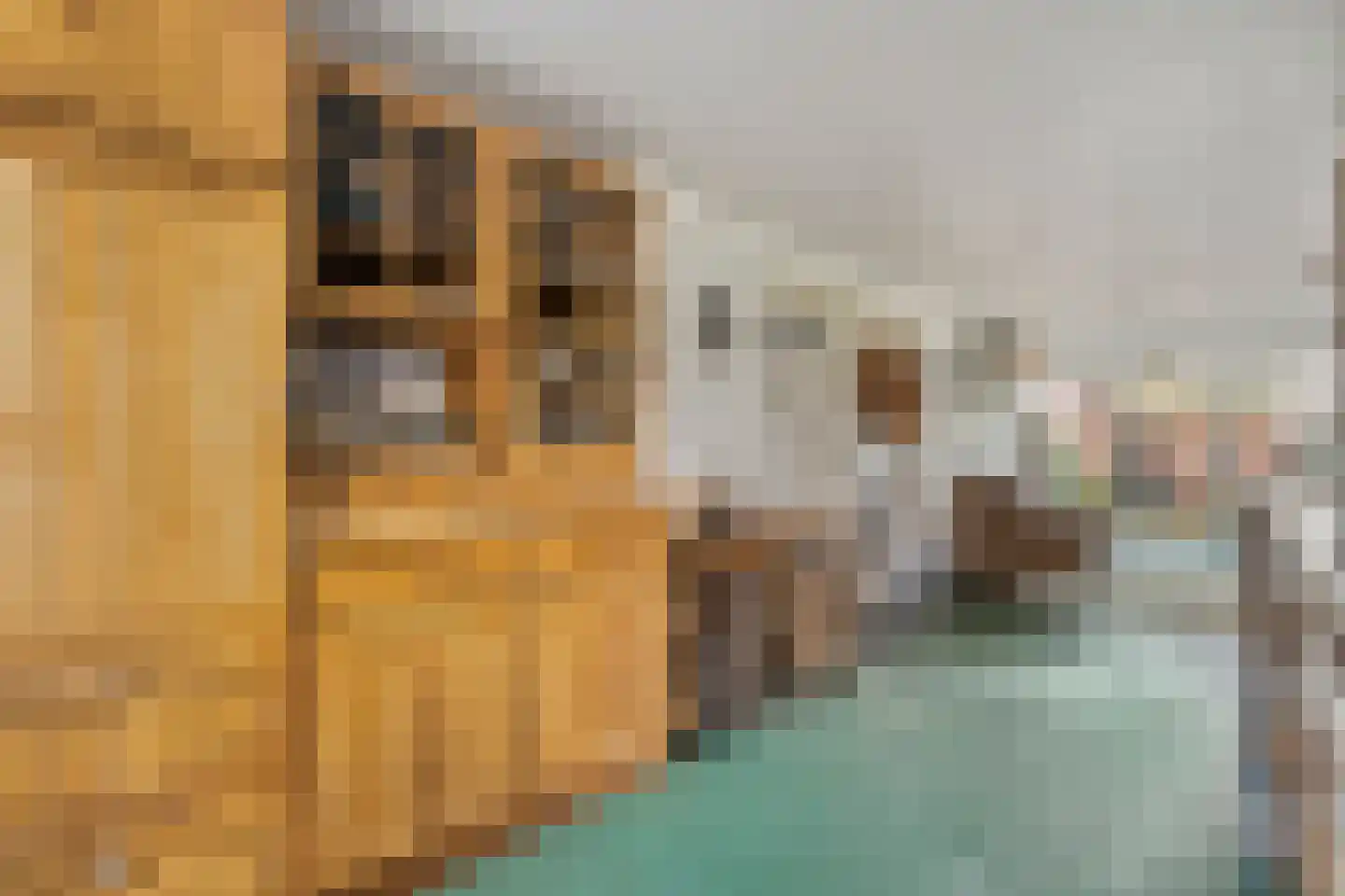 den Alerdinckweg 10 Laag Zuthem thumbnail 50