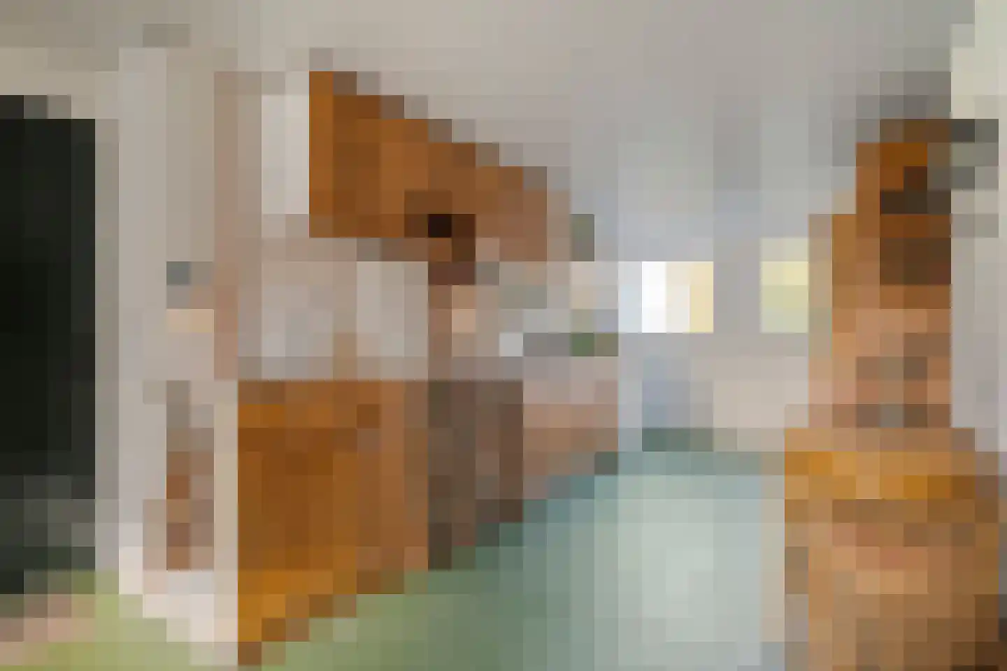 den Alerdinckweg 10 Laag Zuthem thumbnail 51