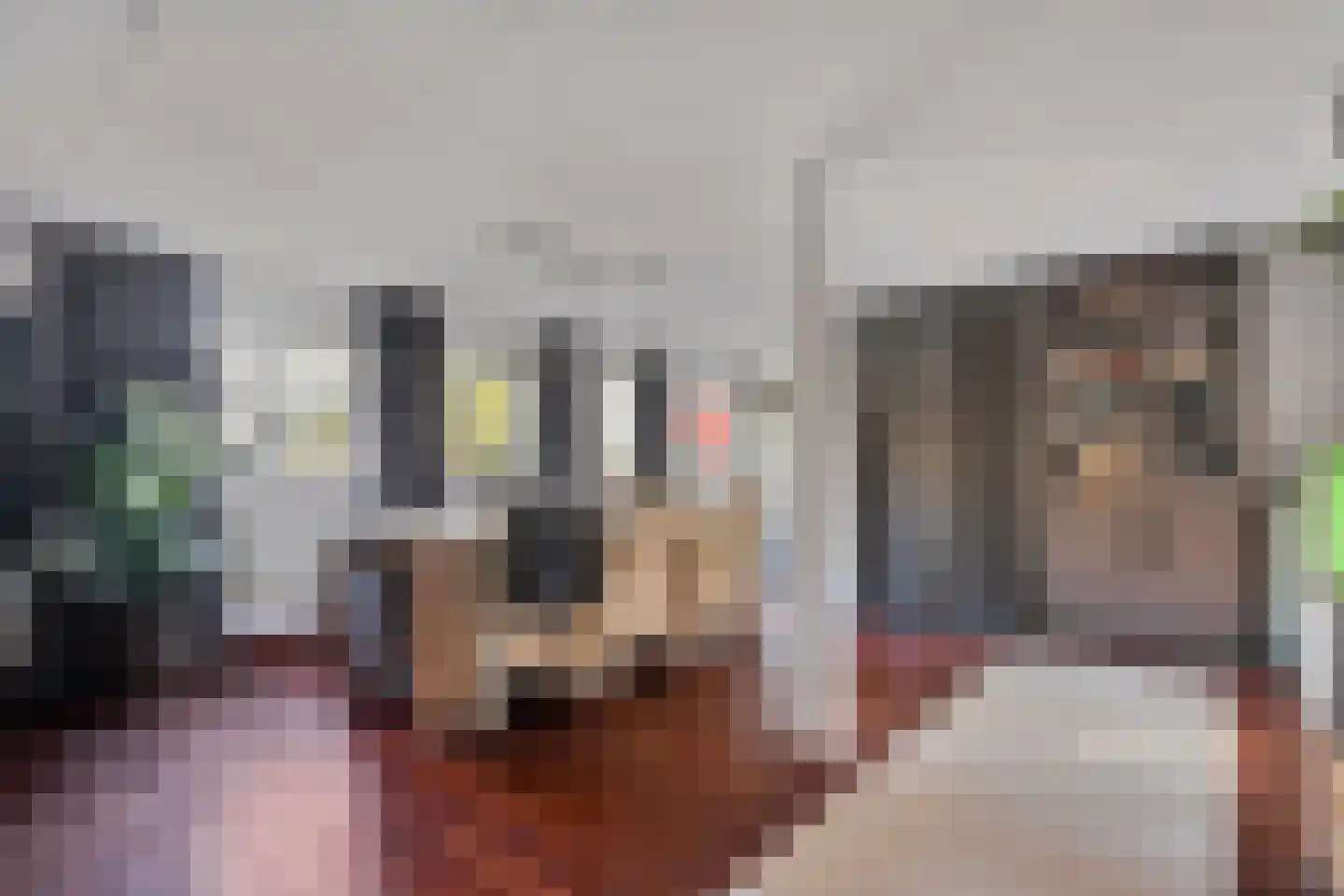den Alerdinckweg 10 Laag Zuthem thumbnail 54