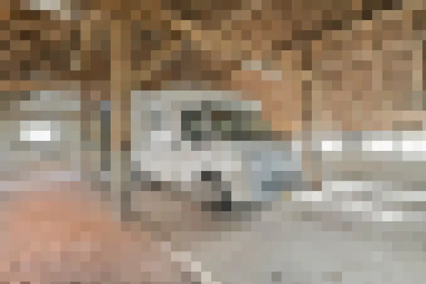 den Alerdinckweg 10 Laag Zuthem thumbnail 56