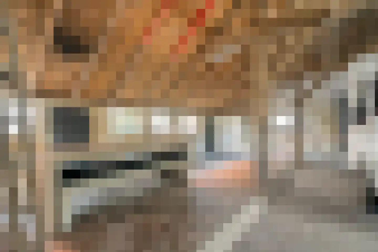 den Alerdinckweg 10 Laag Zuthem thumbnail 57