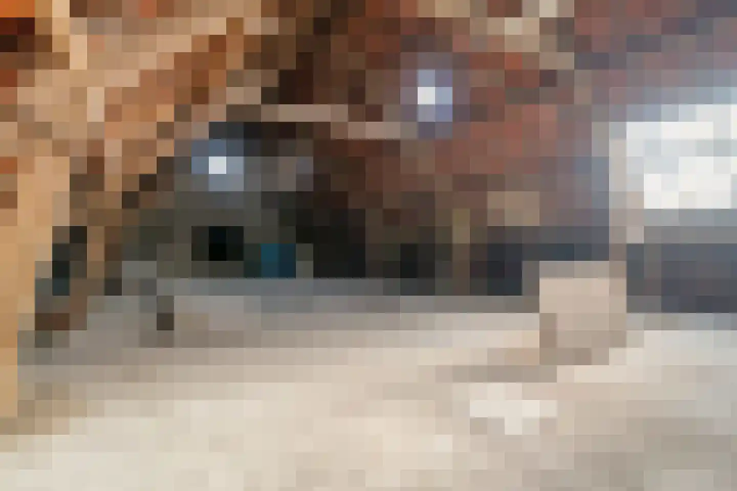 den Alerdinckweg 10 Laag Zuthem thumbnail 58