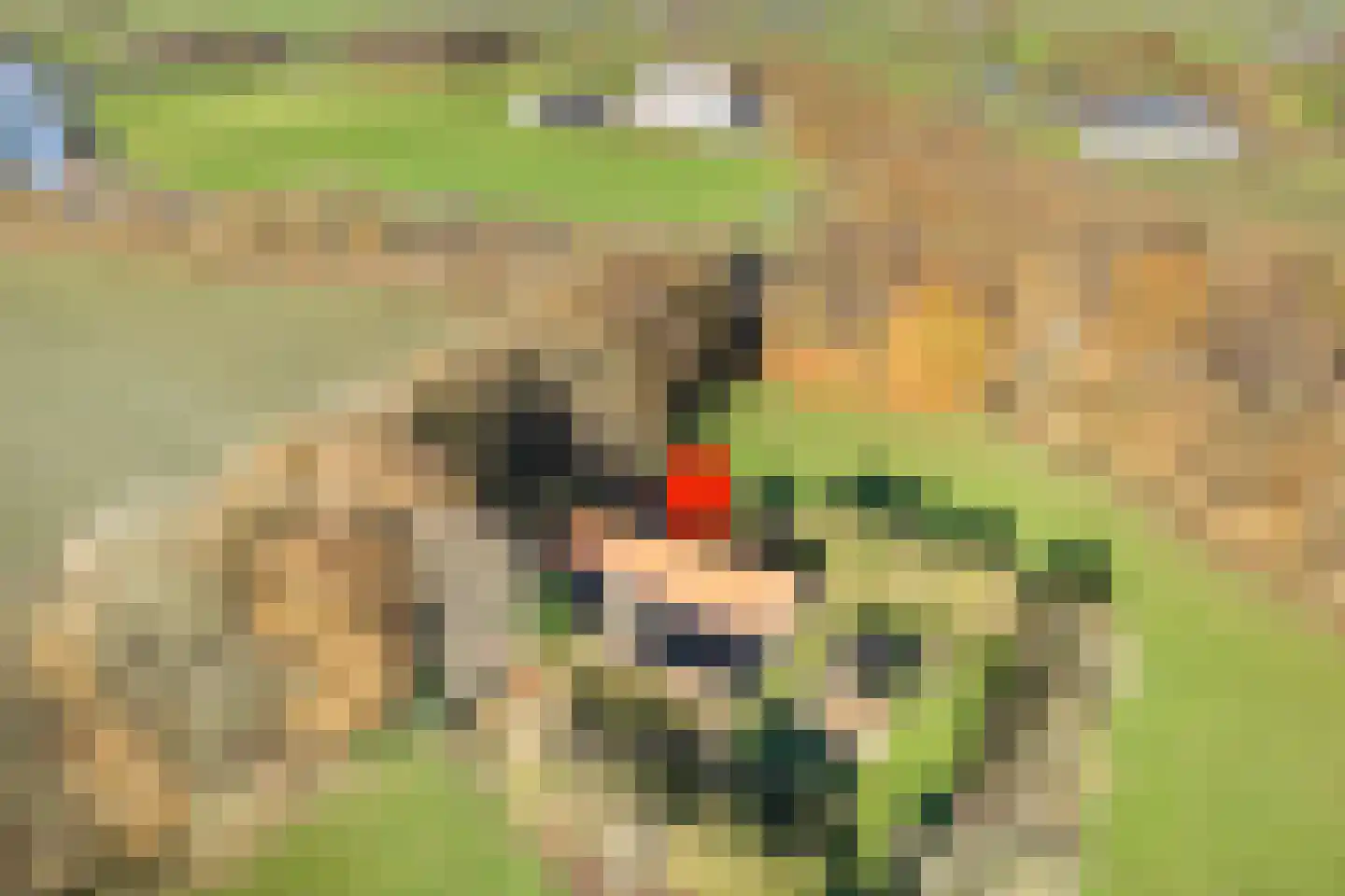 den Alerdinckweg 10 Laag Zuthem thumbnail 6