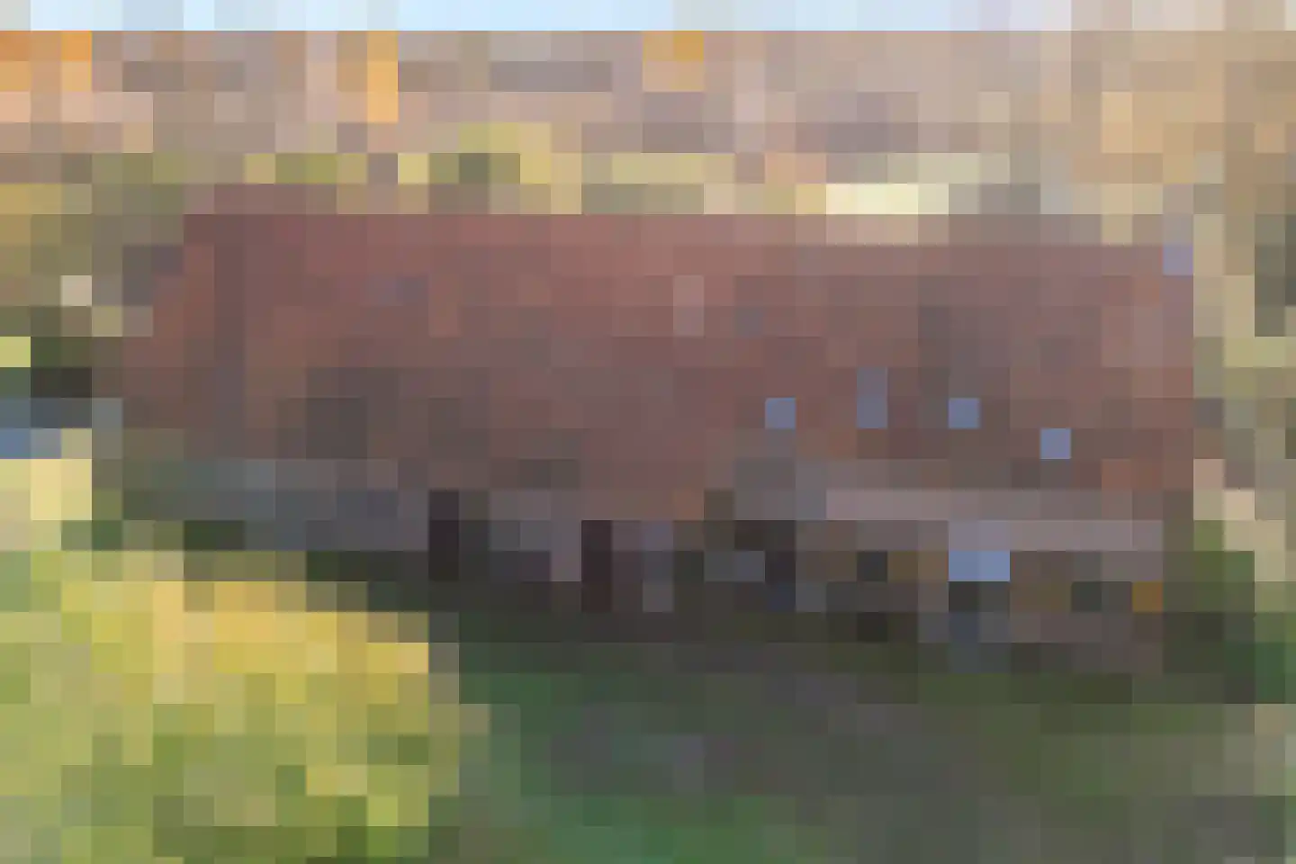 den Alerdinckweg 10 Laag Zuthem thumbnail 60