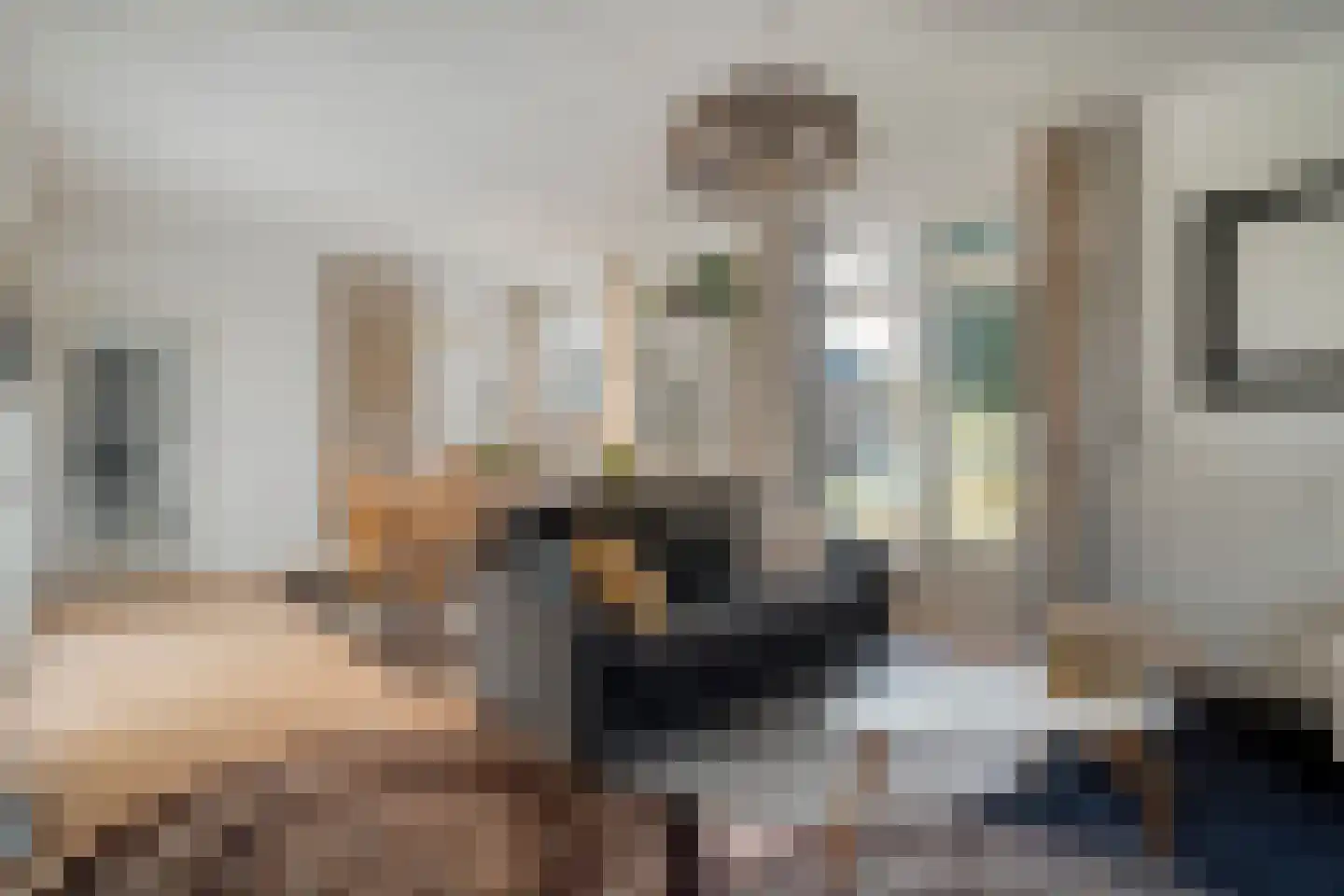 den Alerdinckweg 10 Laag Zuthem thumbnail 7