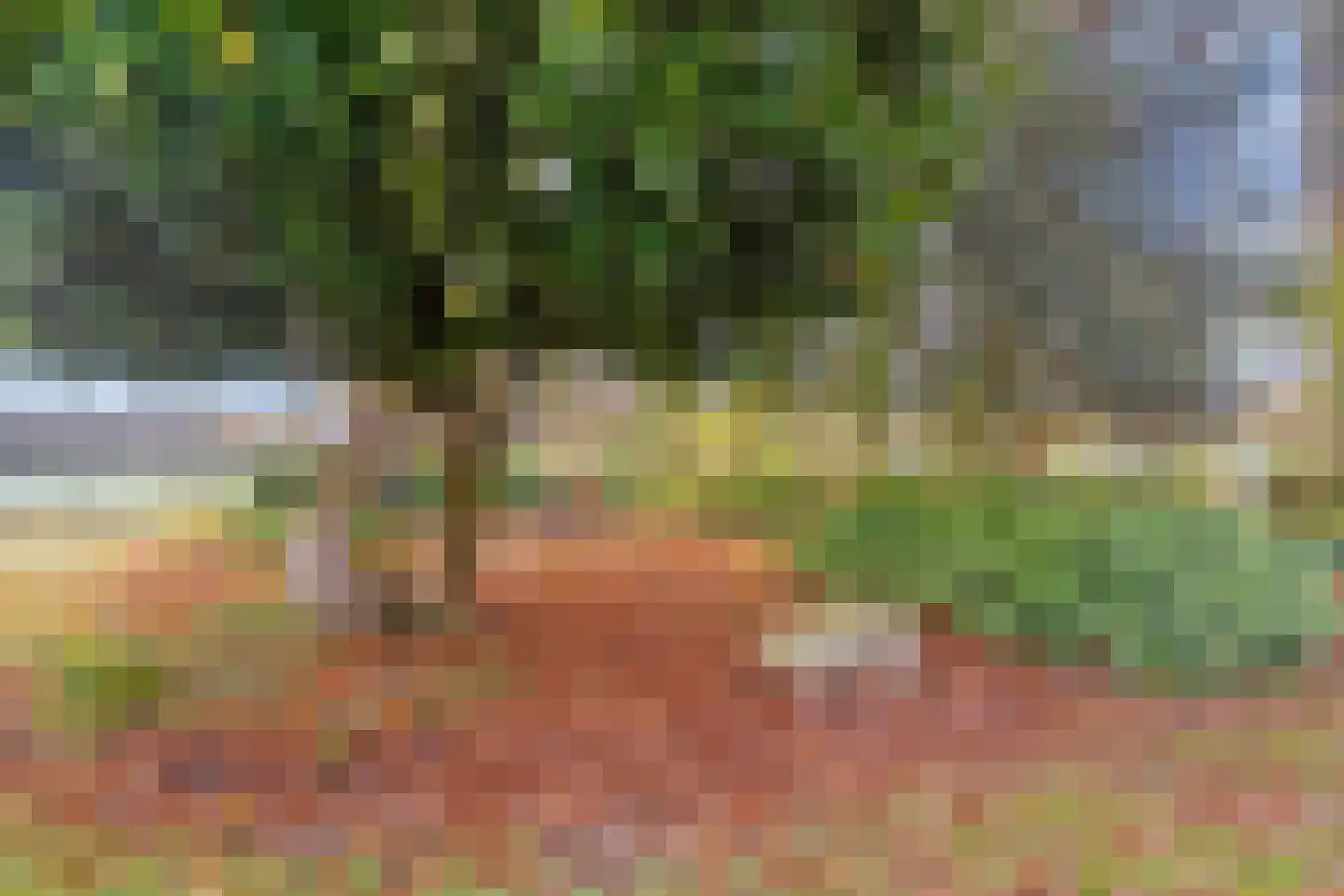 den Alerdinckweg 10 Laag Zuthem thumbnail 71