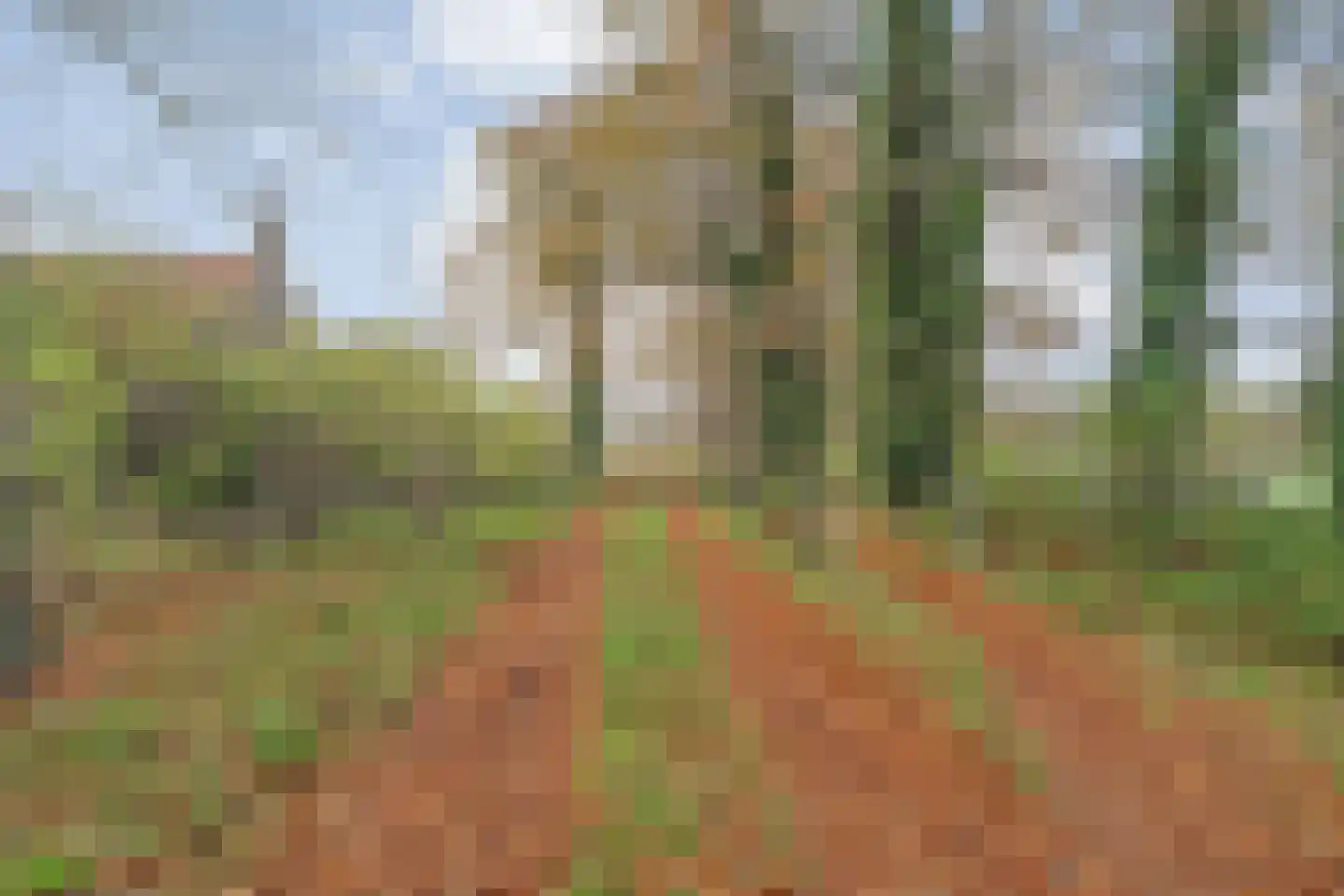 den Alerdinckweg 10 Laag Zuthem thumbnail 74