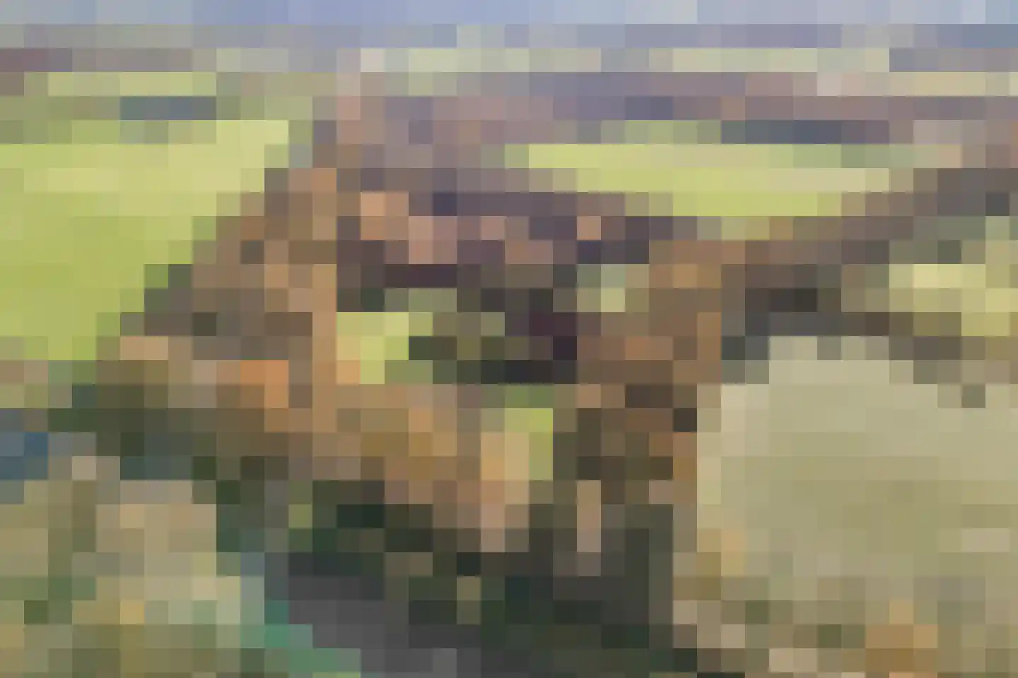 den Alerdinckweg 10 Laag Zuthem thumbnail 76