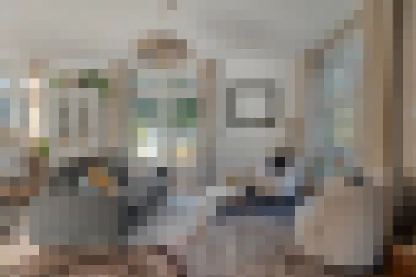 den Alerdinckweg 10 Laag Zuthem thumbnail 9