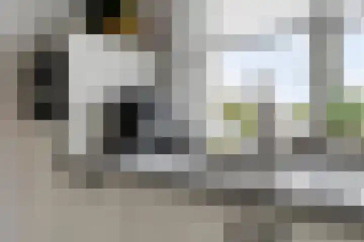 Den Berk 18 Ledeacker thumbnail 14