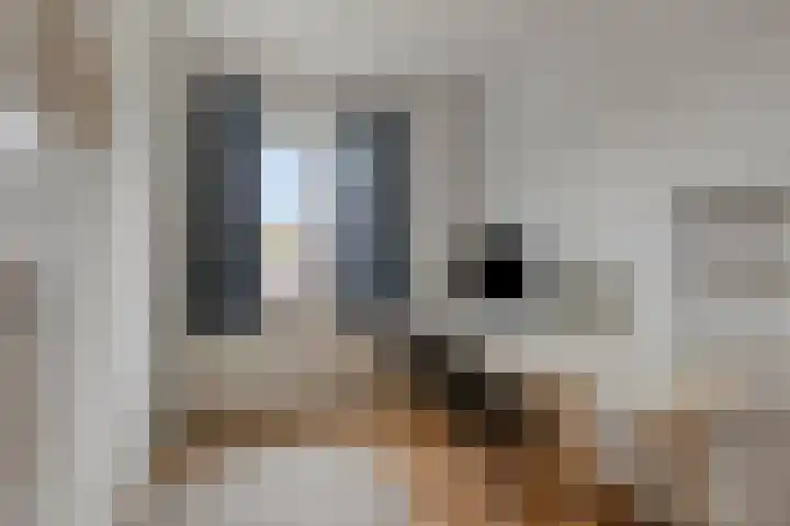 Den Berk 18 Ledeacker thumbnail 26