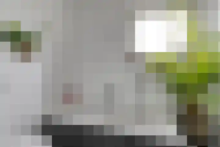 Den Berk 18 Ledeacker thumbnail 29