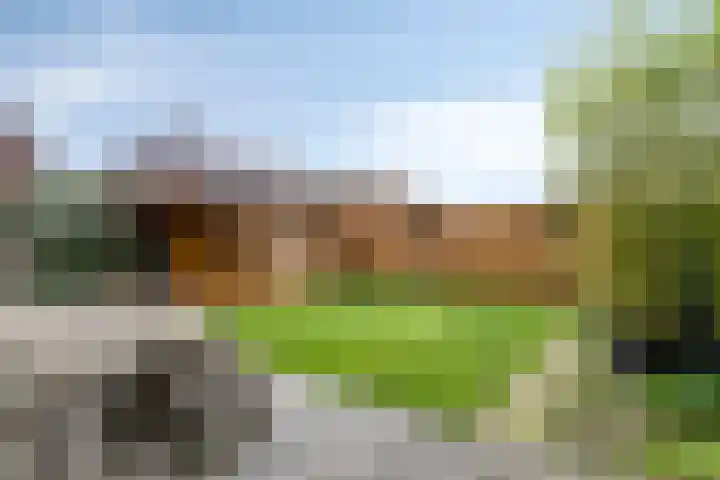 Den Berk 18 Ledeacker thumbnail 34