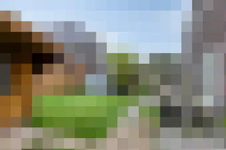 Den Berk 18 Ledeacker thumbnail 35