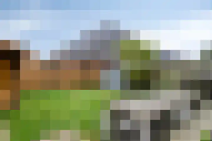Den Berk 18 Ledeacker thumbnail 36