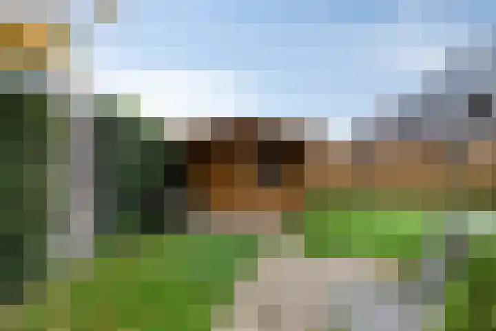 Den Berk 18 Ledeacker thumbnail 37