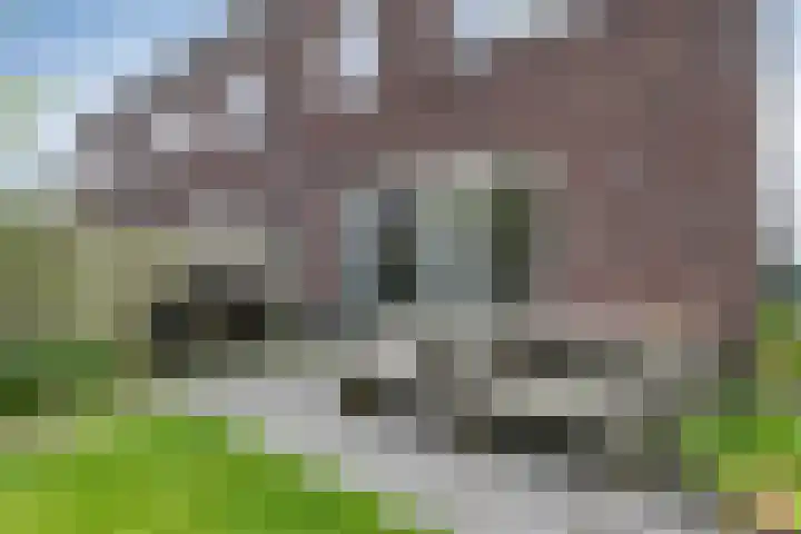 Den Berk 18 Ledeacker thumbnail 39