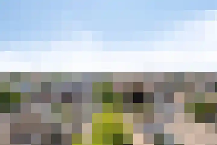 Den Biest 20 Eindhoven thumbnail 22