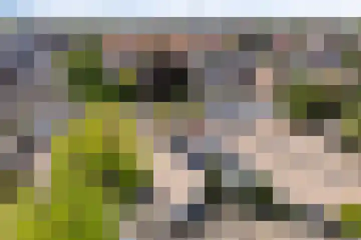 Den Biest 20 Eindhoven thumbnail 23