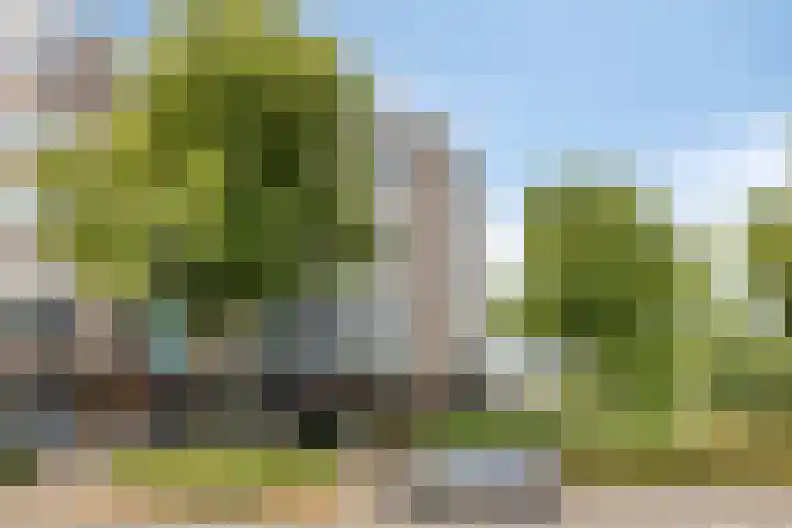 Den Biest 20 Eindhoven thumbnail 27
