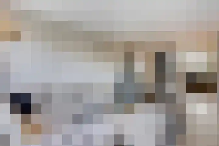 Den Bleek 34 Heusden thumbnail 12