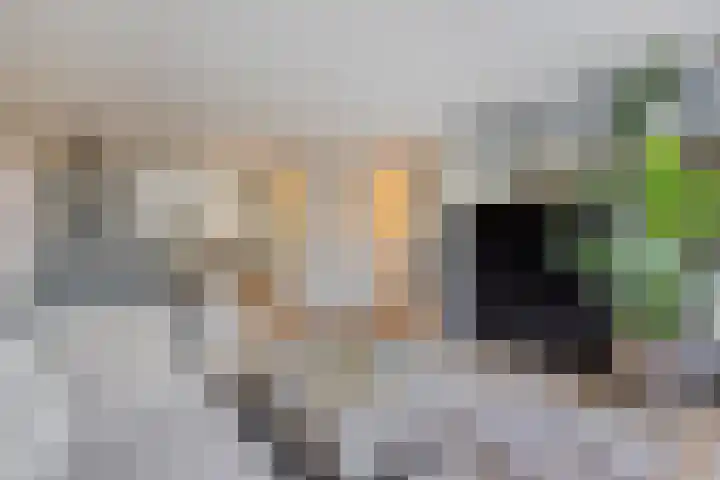 Den Bleek 34 Heusden thumbnail 13