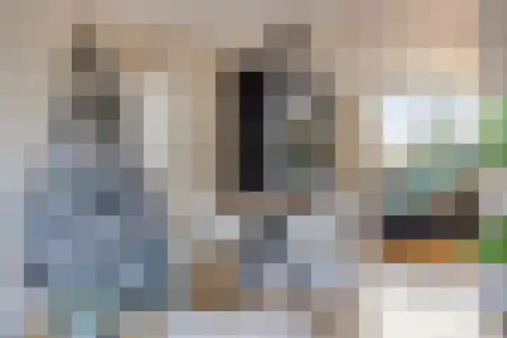 Den Bleek 34 Heusden thumbnail 16