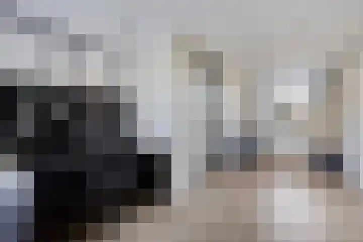 Den Bleek 34 Heusden thumbnail 20