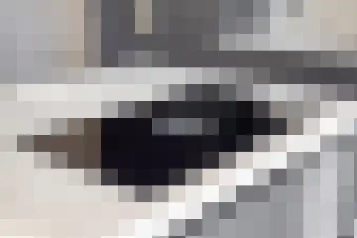 Den Bleek 34 Heusden thumbnail 21