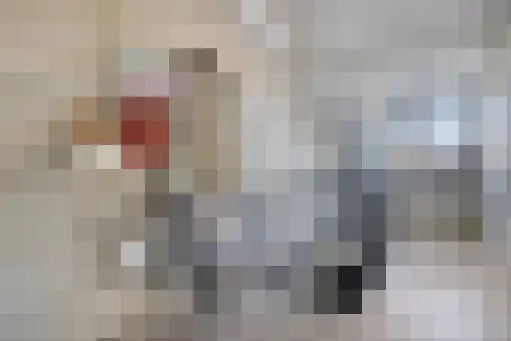 Den Bleek 34 Heusden thumbnail 33