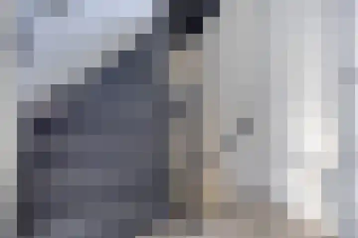 Den Bleek 34 Heusden thumbnail 36