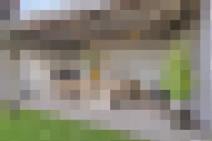 Den Bleek 34 Heusden thumbnail 40