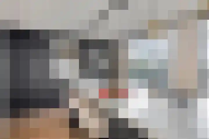Den Bleek 34 Heusden thumbnail 8