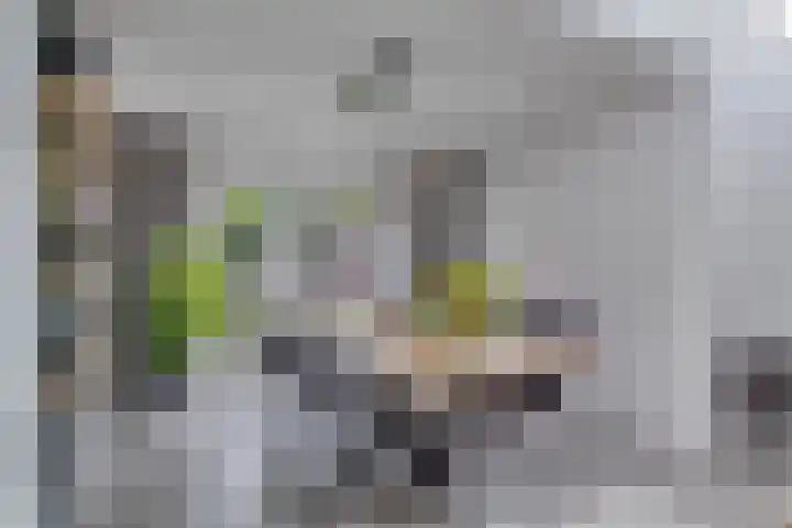 Den Bleek 36 Heusden thumbnail 20