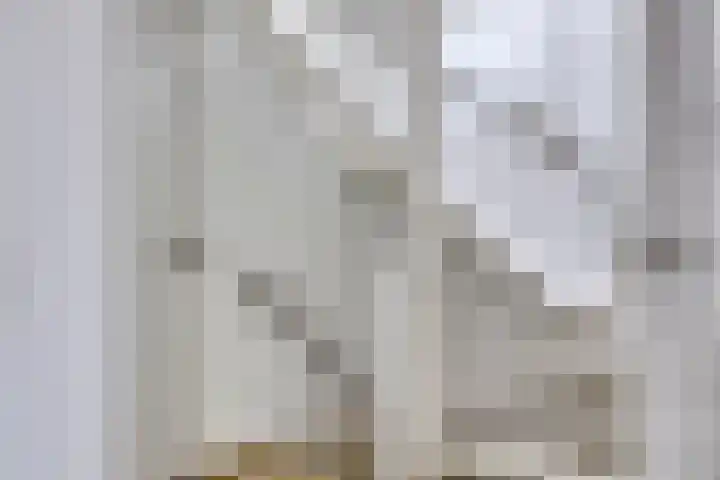 Den Bleek 36 Heusden thumbnail 26
