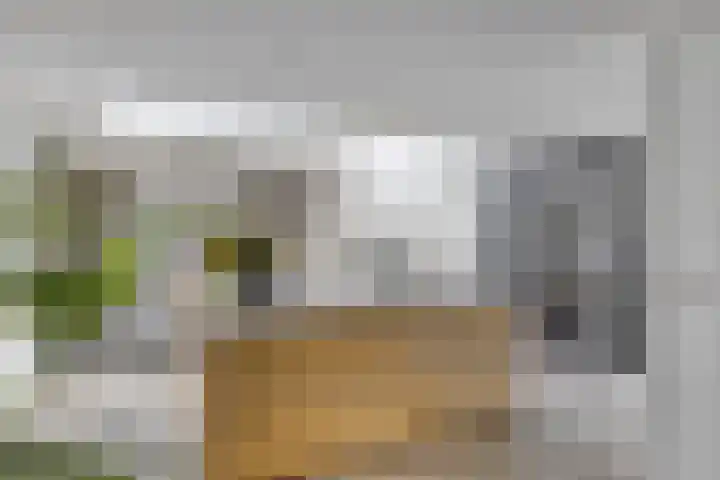 Den Bleek 36 Heusden foto 3