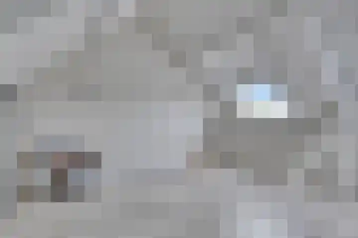 Den Bleek 36 Heusden thumbnail 33