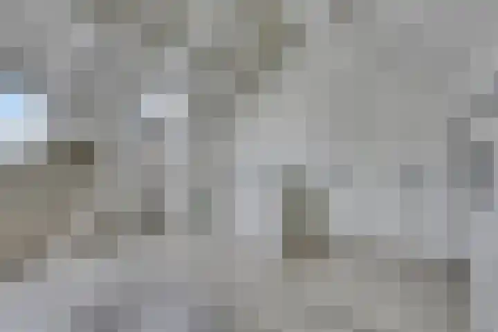 Den Bleek 36 Heusden thumbnail 34