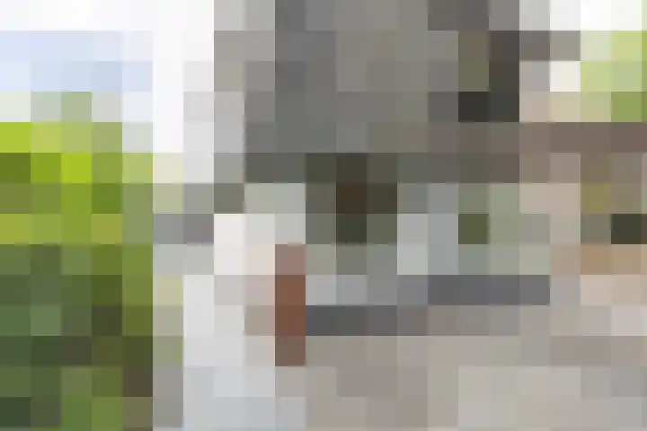 den Blieklaan 33 Soest thumbnail 11