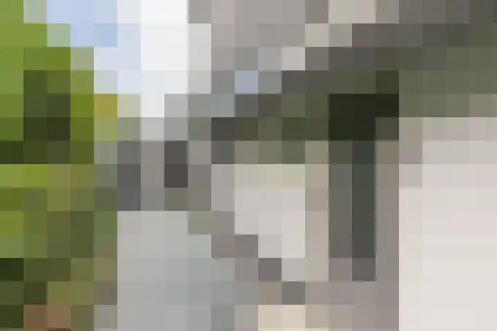 den Blieklaan 33 Soest thumbnail 12