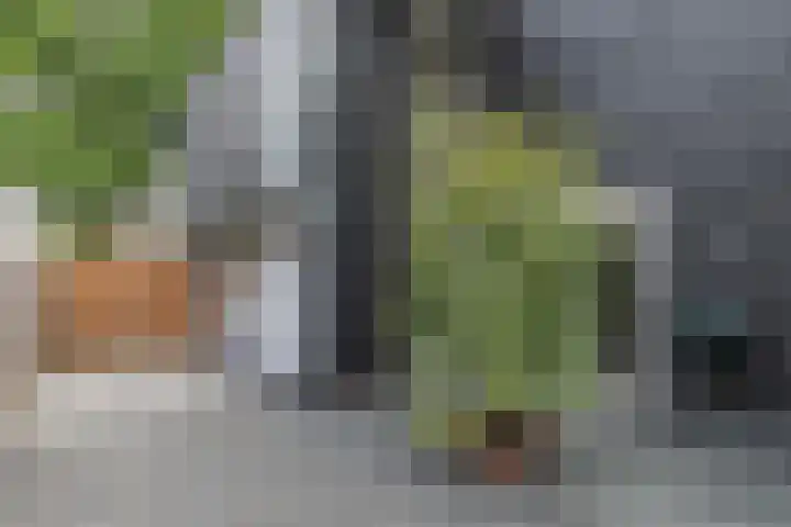 den Blieklaan 33 Soest thumbnail 20