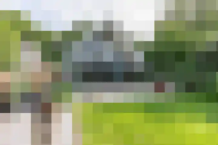 den Blieklaan 33 Soest thumbnail 24