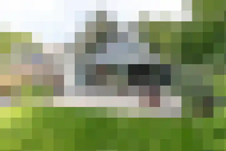 den Blieklaan 33 Soest thumbnail 25