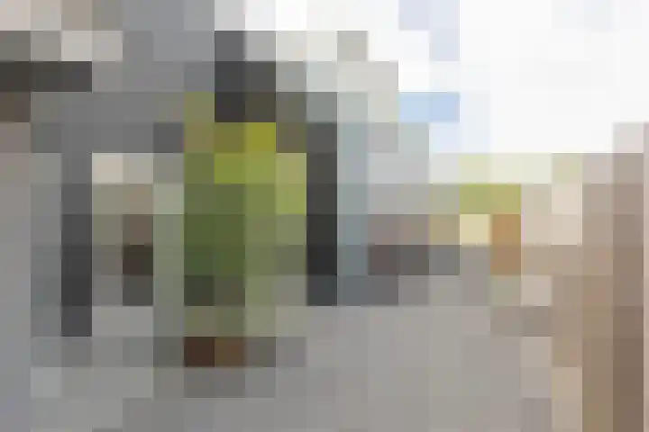 den Blieklaan 33 Soest thumbnail 30